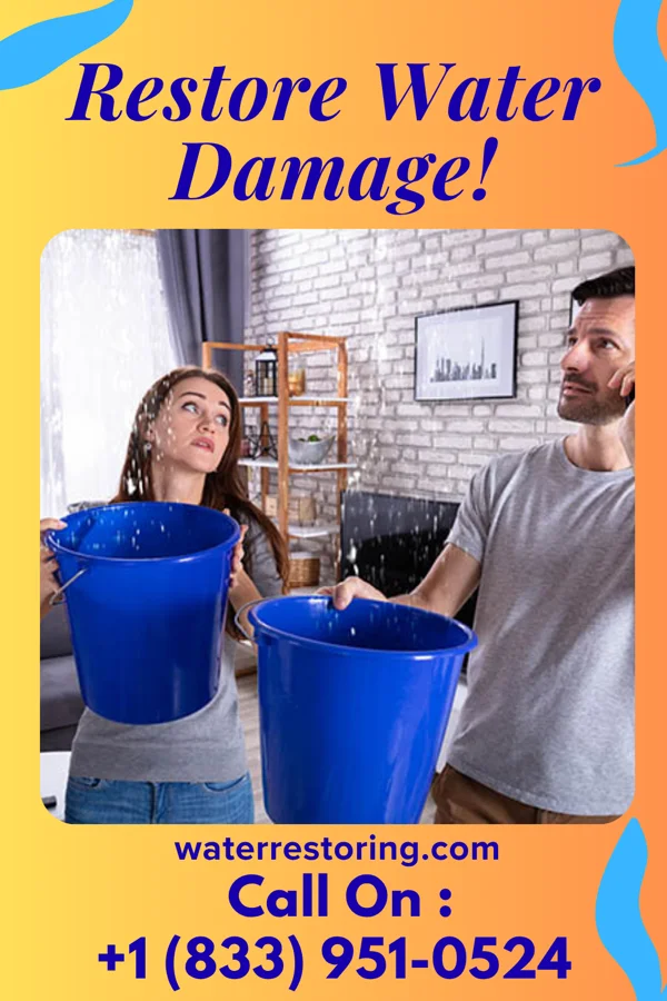 water restoration Premier Water Mitigation Cadiz
