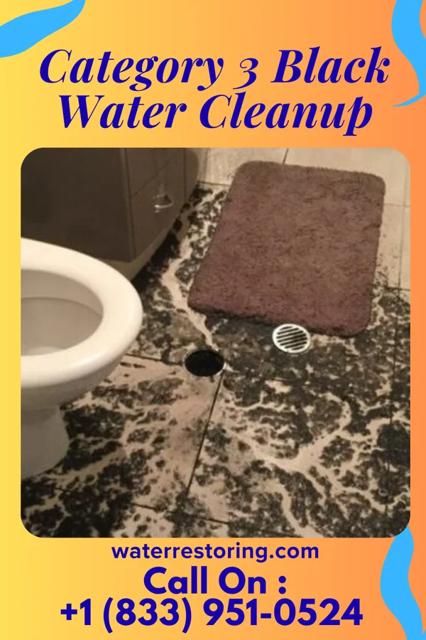 Category 3 Black Water Cleanup in Cadiz, OH