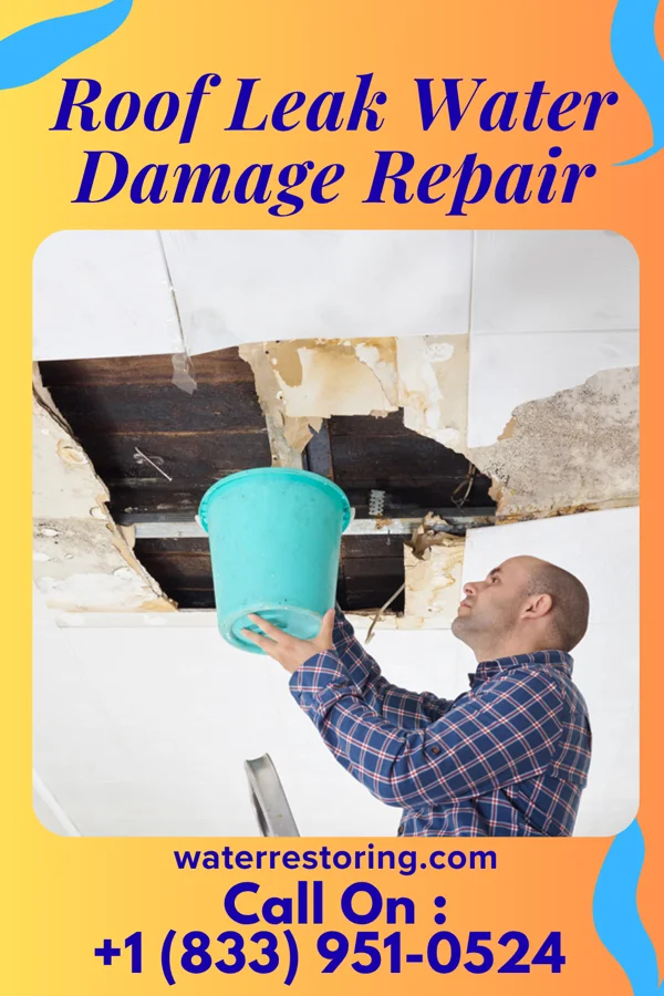 Roof Leak Water Damage Repair in Cadiz, OH