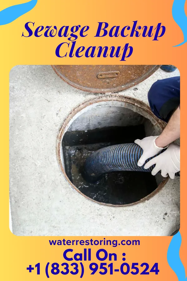 Sewage Backup Cleanup in Cadiz, OH