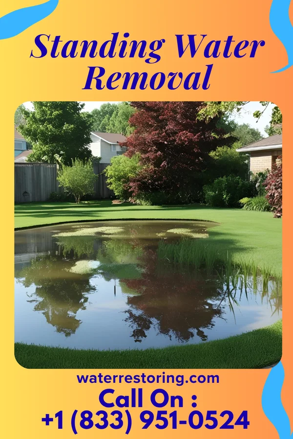 Standing Water Removal in Cadiz, OH
